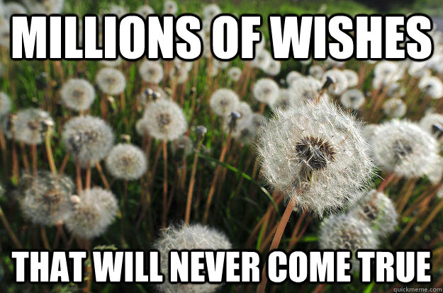 millions of wishes that will never come true - millions of wishes that will never come true  Misc