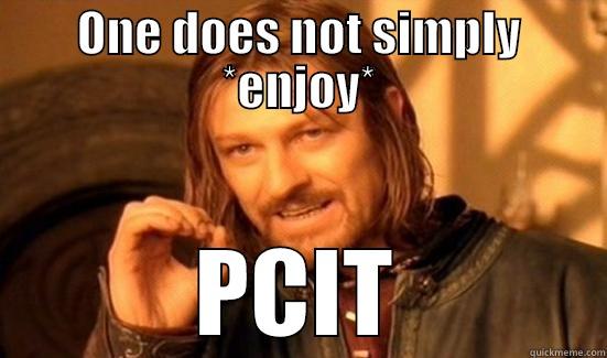 ONE DOES NOT SIMPLY *ENJOY* PCIT Boromir