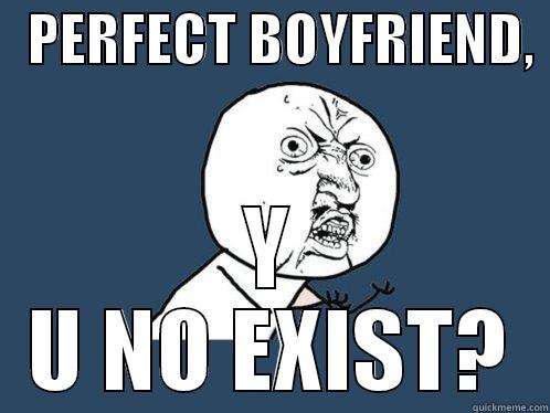   PERFECT BOYFRIEND,  Y U NO EXIST? Y U No