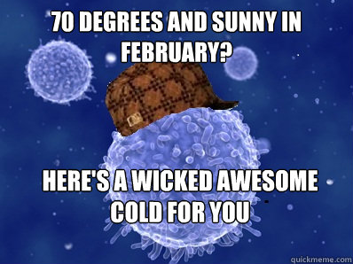 70 degrees and sunny in February? Here's a wicked awesome cold for you - 70 degrees and sunny in February? Here's a wicked awesome cold for you  Scumbag immune system