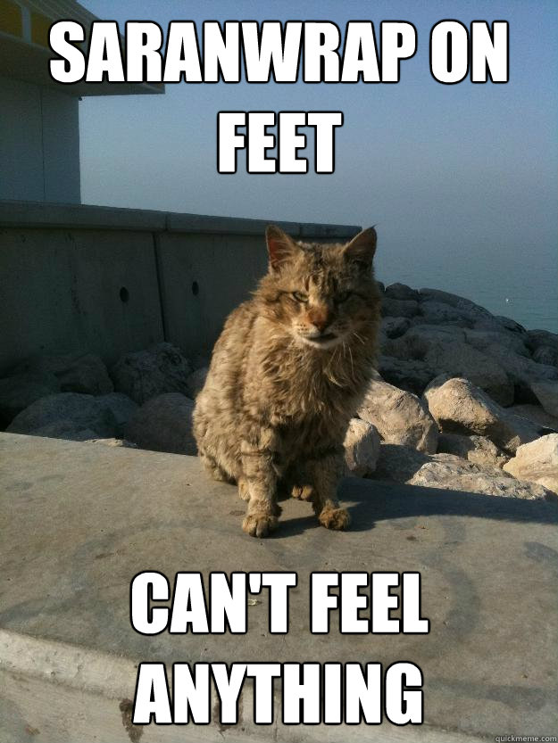 Saranwrap on feet can't feel anything  Bitter Cat