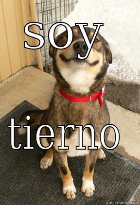 SOY TIERNO Good Dog Greg