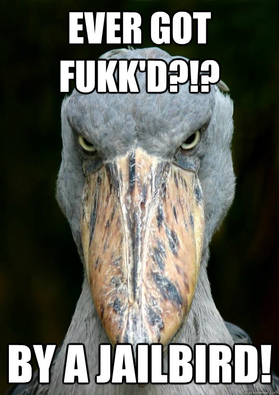 ever got fukk'd?!? by a jailbird! - ever got fukk'd?!? by a jailbird!  actually angry bird