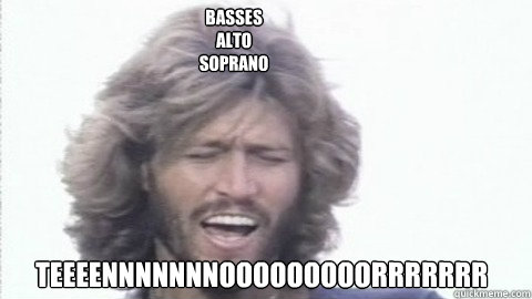 Basses 
Alto 
Soprano Teeeennnnnnnooooooooorrrrrrr  Bee Gees