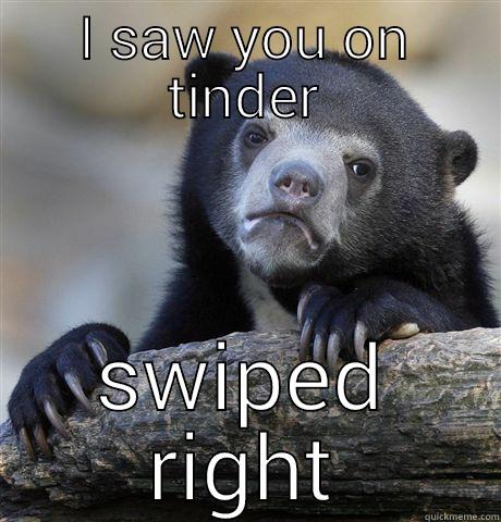 I SAW YOU ON TINDER SWIPED RIGHT Confession Bear
