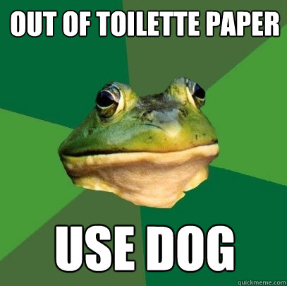 Out of toilette paper use dog  Foul Bachelor Frog