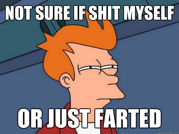 not sure if shit myself or just farted  Futurama Fry
