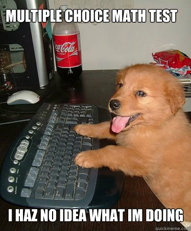 Multiple choice math test i haz no idea what im doing - Multiple choice math test i haz no idea what im doing  I have no Ideawhat im doing