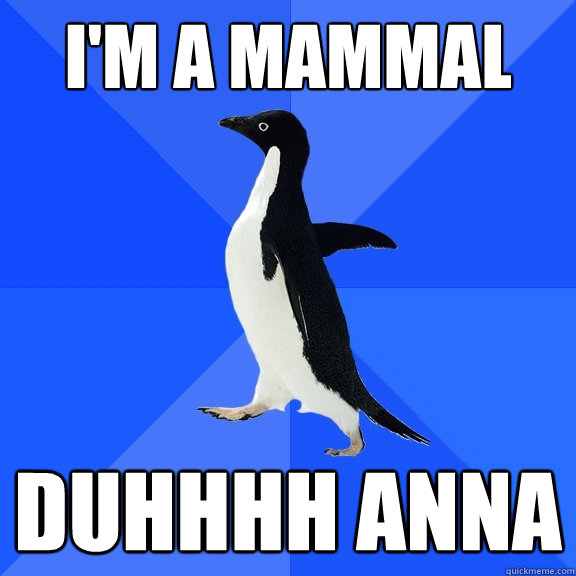 I'M A MAMMAL DUHHHH ANNA  Socially Awkward Penguin