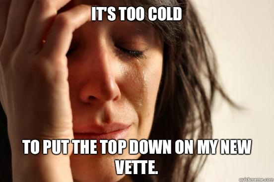 It's too cold to put the top down on my new Vette.  First World Problems