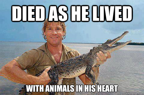 Died as he lived with Animals in his heart - Died as he lived with Animals in his heart  steve irwin