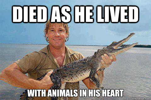 Died as he lived with Animals in his heart  steve irwin