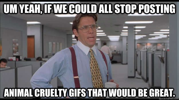 Um yeah, if we could all stop posting  animal cruelty gifs that would be great.  