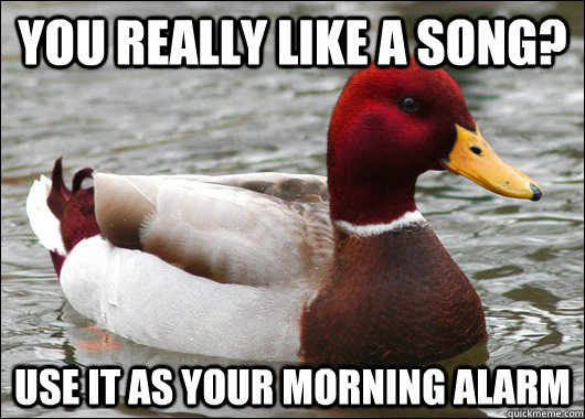 You really like a song? Use it as your morning alarm - You really like a song? Use it as your morning alarm  Malicious Advice Mallard