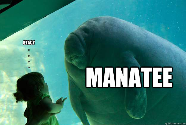 Stacy
.
.
.
. Manatee  Overlord Manatee