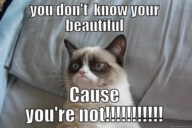 YOU DON'T  KNOW YOUR BEAUTIFUL CAUSE YOU'RE NOT!!!!!!!!!!! Grumpy Cat