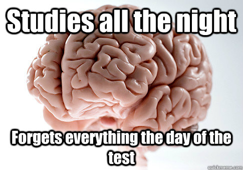 Studies all the night Forgets everything the day of the test  Scumbag Brain