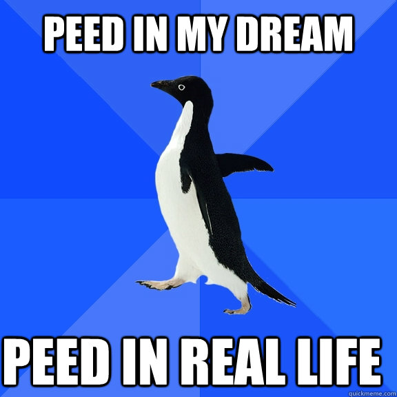 Peed in my dream peed in real life  Socially Awkward Penguin