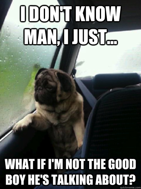 I don't know man, I just... what if I'm not the good boy he's talking about?  Introspective Pug