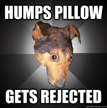 Humps pillow Gets rejected  Depression Dog