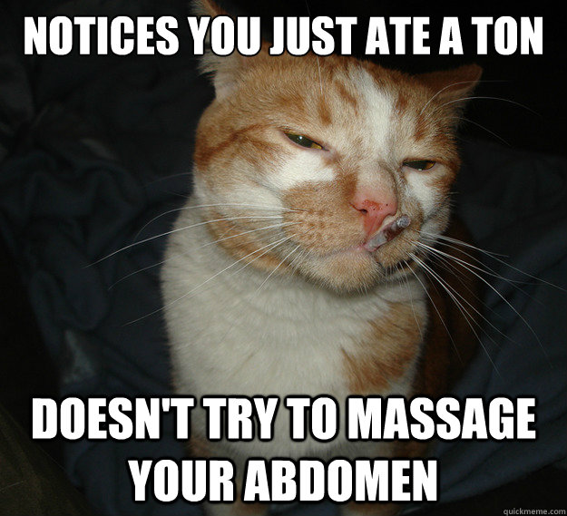 notices you just ate a ton Doesn't try to massage your abdomen  Cool Cat Craig