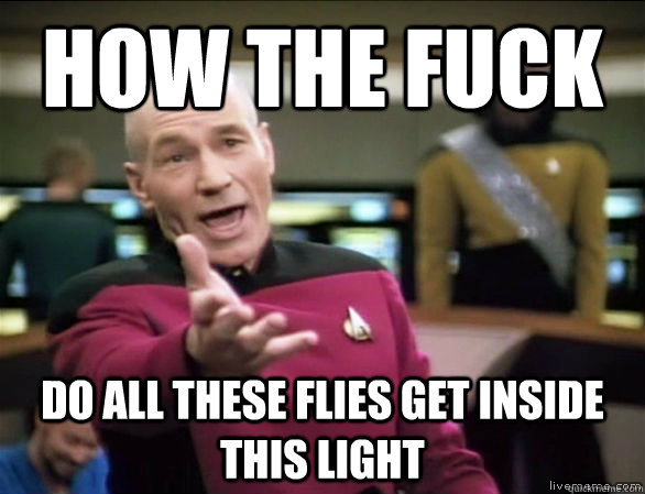 How the fuck  Do all these flies get inside this light  Annoyed Picard HD