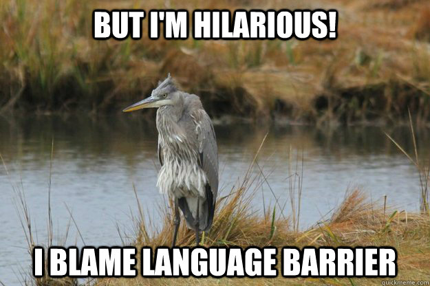 but i'm hilarious! i blame language barrier  