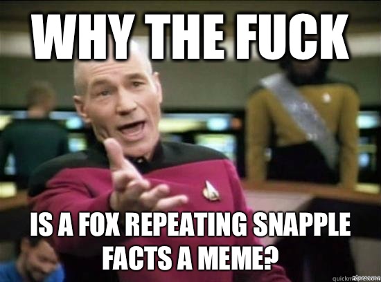 Why the fuck Is a fox repeating snapple facts a meme?  Annoyed Picard HD