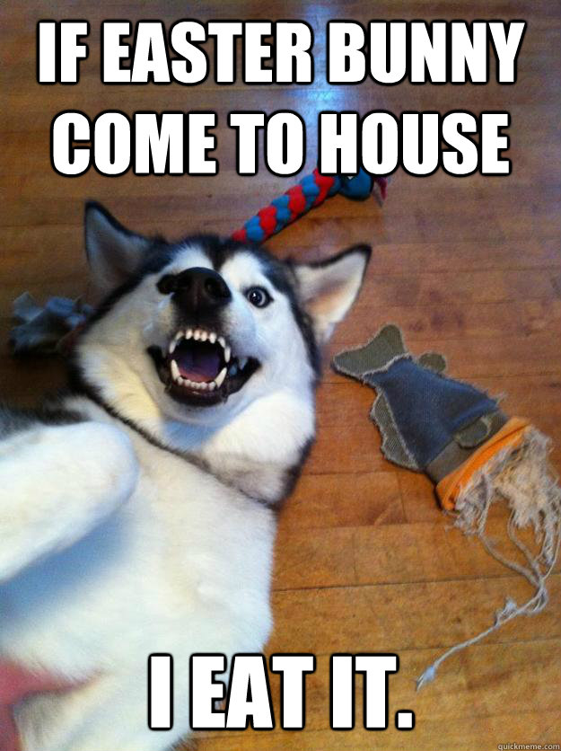 If Easter Bunny come to house I eat it.  Easter Bunny