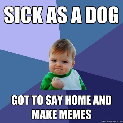 Sick as a dog Got to say home and make memes  Success Kid