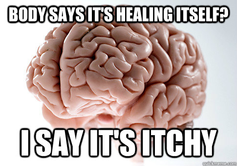BODY SAYS IT'S HEALING ITSELF? I SAY IT'S ITCHY  Scumbag Brain