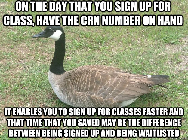On the day that you sign up for class, have the CRN number on hand It enables you to sign up for classes faster and that time that you saved may be the difference between being signed up and being waitlisted - On the day that you sign up for class, have the CRN number on hand It enables you to sign up for classes faster and that time that you saved may be the difference between being signed up and being waitlisted  Actual UNF Advice Canadian Goose