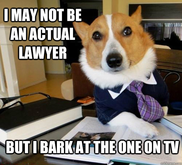 I MAY NOT BE AN ACTUAL LAWYER BUT I BARK AT THE ONE ON TV  Lawyer Dog