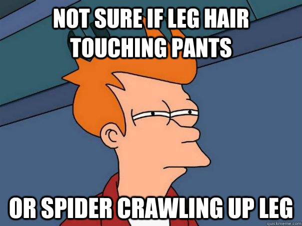Not sure if leg hair touching pants or spider crawling up leg  FuturamaFry