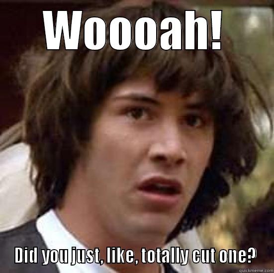 WOOOAH! DID YOU JUST, LIKE, TOTALLY CUT ONE? conspiracy keanu