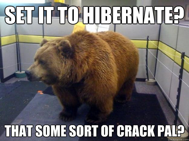 Set it to hibernate? That some sort of crack pal? - Set it to hibernate? That some sort of crack pal?  Office Grizzly