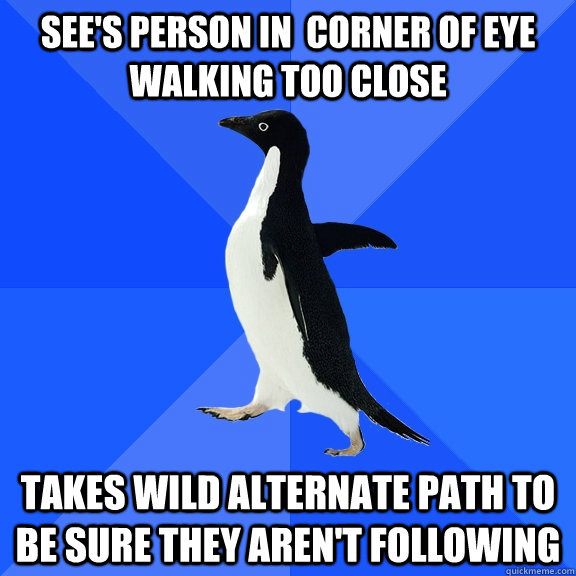 See's person in  corner of eye walking too close Takes wild alternate path to be sure they aren't following   Socially Awkward Penguin