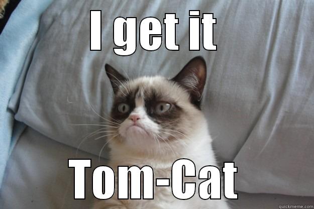 I GET IT TOM-CAT Grumpy Cat