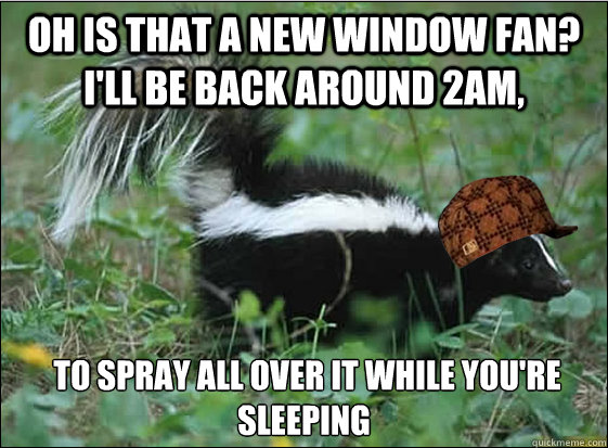 oh is that a new window fan? I'll be back around 2am,  to spray all over it while you're sleeping - oh is that a new window fan? I'll be back around 2am,  to spray all over it while you're sleeping  Scumbag Skunk