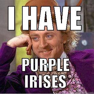 Willy Wonka The Alien - I HAVE PURPLE IRISES Condescending Wonka