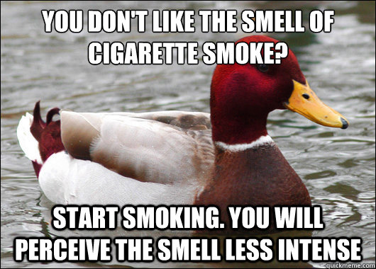 You don't like the smell of cigarette smoke?
 start smoking. you will perceive the smell less intense - You don't like the smell of cigarette smoke?
 start smoking. you will perceive the smell less intense  Malicious Advice Mallard