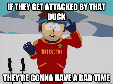 if they get attacked by that duck they're gonna have a bad time  Youre gonna have a bad time