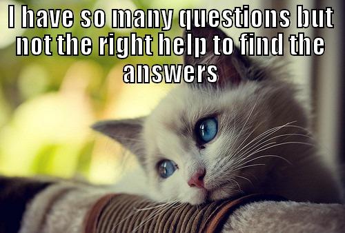 I HAVE SO MANY QUESTIONS BUT NOT THE RIGHT HELP TO FIND THE ANSWERS  First World Problems Cat
