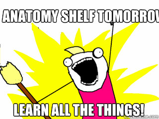 ANATOMY SHELF TOMORROW LEARN ALL THE THINGS!  All The Things