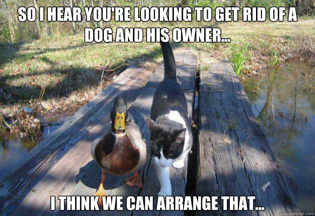 So I hear you're looking to get rid of a dog and his owner... I think we can arrange that... - So I hear you're looking to get rid of a dog and his owner... I think we can arrange that...  Boat advice