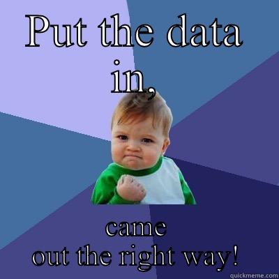 PUT THE DATA IN, CAME OUT THE RIGHT WAY! Success Kid