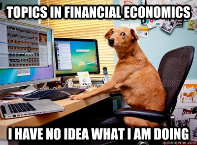 Topics in Financial Economics I have no idea what I am doing - Topics in Financial Economics I have no idea what I am doing  Computer dog