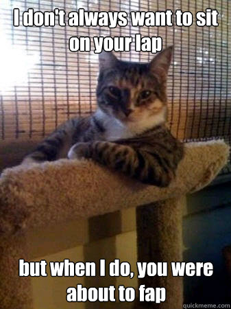 I don't always want to sit on your lap but when I do, you were about to fap  The Most Interesting Cat in the World