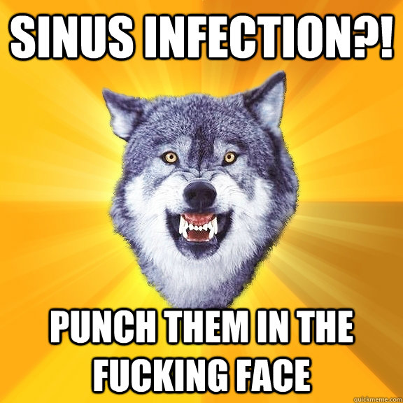 Sinus infection?! PUNCH THEM IN THE FUCKING FACE  Courage Wolf