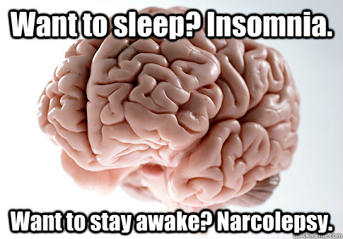 Want to sleep? Insomnia. Want to stay awake? Narcolepsy.  - Want to sleep? Insomnia. Want to stay awake? Narcolepsy.   Scumbag Brain